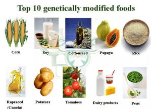 綠色有機食品 健康與環境雙贏的選擇